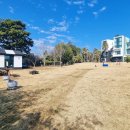 제주애견동반감성숙소 르페도라 이미지