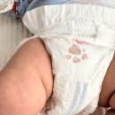 보송보송 | 기저귀 브랜드 비교 하기 위해 사용 한 후기 _하기스 보송보송, 퓨어코튼, 맥스드라이, 맥스드라이에어...