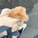 컴피 화명점 이미지