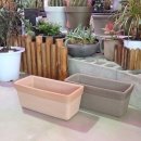 소보로인 이미지