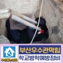 부산 우수관 막힘 기장 학교 건물 나무뿌리 제거 하수구 역류 뚫는 곳