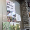 회영루 | 춘천 로컬 맛집 추천 50년 된 짜장면 맛집 회영루 내돈내산 후기