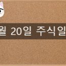 연은메디칼 이미지