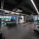 포인티PT 이미지