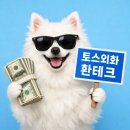 국제저축은행 | 초보자도 가능한 수수료없는 토스외화 환테크로 용돈벌이 방법과 경험 후기