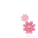 하얀마음 이미지