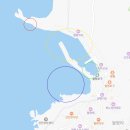 월령리(월령포구) | 월령포구 스노쿨링 후기🤿🐠 (월령코지 펜션, 선인장 군락지, 물놀이 스팟 비교)