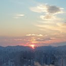 에스케이쉴더스(주) 부천지점 | 8월 일상 (회피핑의 날들)