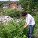 자원농장 이미지