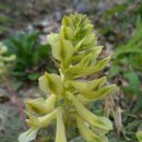 화암사 가는길 이미지