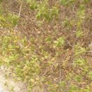 페이지랩의원 이미지