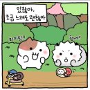 호아네김밥만두 | 11월 -2