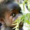 솔로몬자동차 이미지