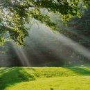 올림픽 골프장 이미지