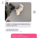 꿈꾸는개 이미지