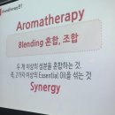 캣츠아로마