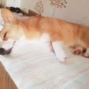 무창포 히든빌리지 이미지