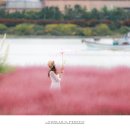 강변체육공원 이미지