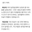 평창 스피드스케이팅 팀추월 사건당시 잘못됐던 배성재와 제갈성렬의 해설 이미지