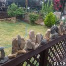 함창 신흥리 이미지