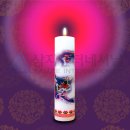 대성인터내셔날 이미지