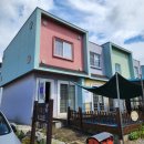 퍼플오렌지올리브나무 이미지