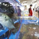 국립수산물품질관리원 인천지원 이미지