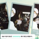 캠프 인더숲 이미지