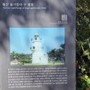 울산 명촌억새 & 대왕암 이미지