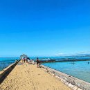 7346 | 하와이일일투어 부모님과 함께하는 빅아일랜드 여행이라면? 우리끼리만 움직이는 단독 투어 실제 후기