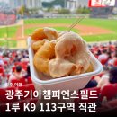 31140-5-31-6 | 기아챔피언스필드 1루 K9 113블록 31열 5,6번 직관 후기