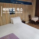산장여관 | 해파랑길 숙소 13코스 포항 구평포구 바다풍경모텔