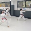 원 탑 태권도 이미지