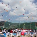 수안보야구장 이미지