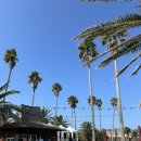 스탠포드호텔앤리조트 제주 이미지