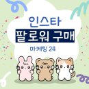 반등 | 인스타 팔로워 구매 셀프 반등 후기