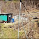 고선농장 이미지