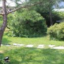 온더키친 이미지