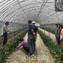 중부농업인상담소 이미지