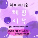 하이베리숲