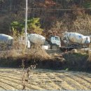 터골농장 이미지