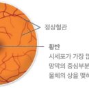 서초구름약국 이미지