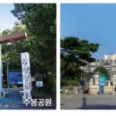 용정초등학교(병설포함) 이미지