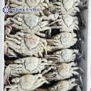 태광냉동
