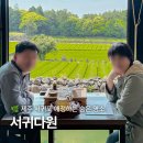 제주 서귀포 비올 때 가볼만한 곳 녹차밭 블루리본 카페 숨은 명소 서귀다원 내돈내산