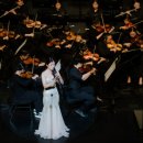 청소년오케스트라 정기연주회 이미지