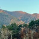 천년의 숲 화장실 이미지