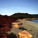 완도 정도리 구계등 이미지