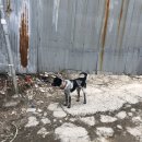 효성노인문화센터 앞 이미지