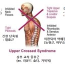부천시청 이미지
